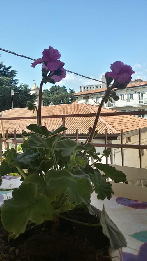 Casa Vacanza Xenia Agerola Eksteriør bilde